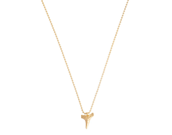 Talis Chains Shark Tooth Pendant Necklace